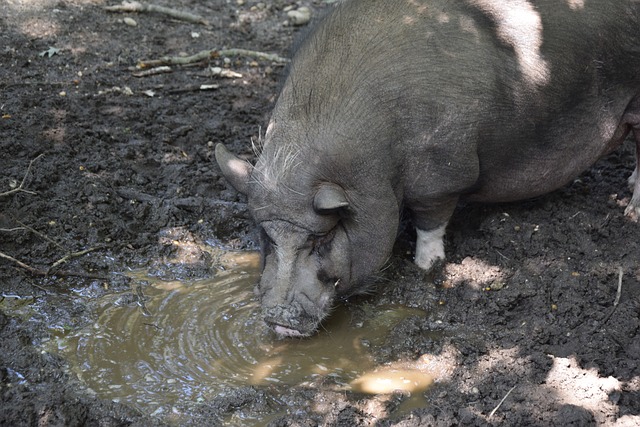 跑鞋的应用 跑鞋的应用
